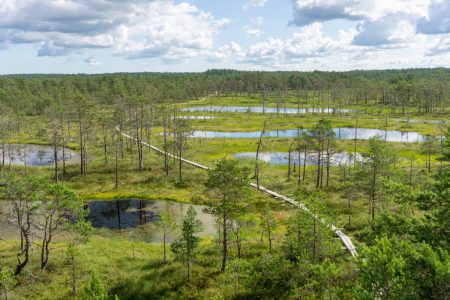 Lahemaa-National-Park-Estonia-Itinerary-FI